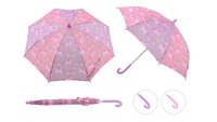 Paraplu eenhoorn en regen